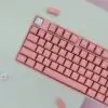 GMK+ Peach Blossom Series Cherry Custom Keycap Set