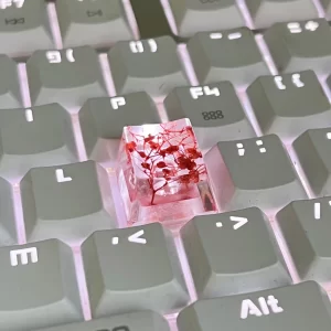 GMK+ Sakura Single Keycap