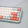 GMK+ Salmon Series MDA Custom Keycap Set