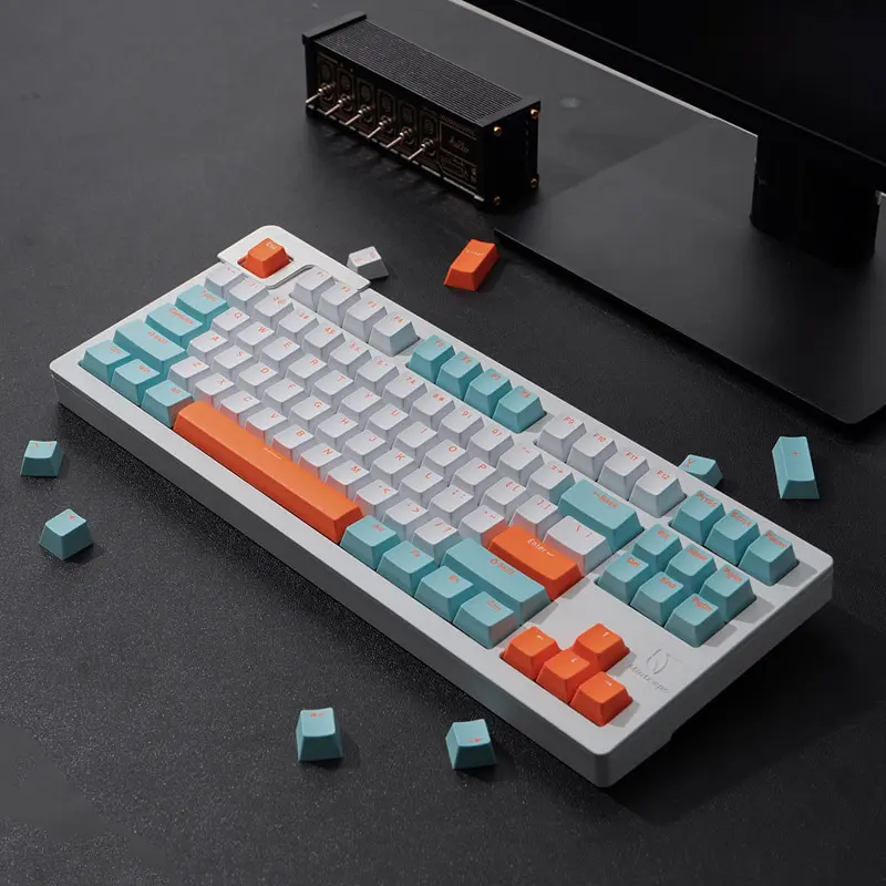 GMK Clones Salmon Keycaps Double Shot 113 Keys oem Profile Keycap For Gateron Cherry MX Switch Mechanical Keyboard
