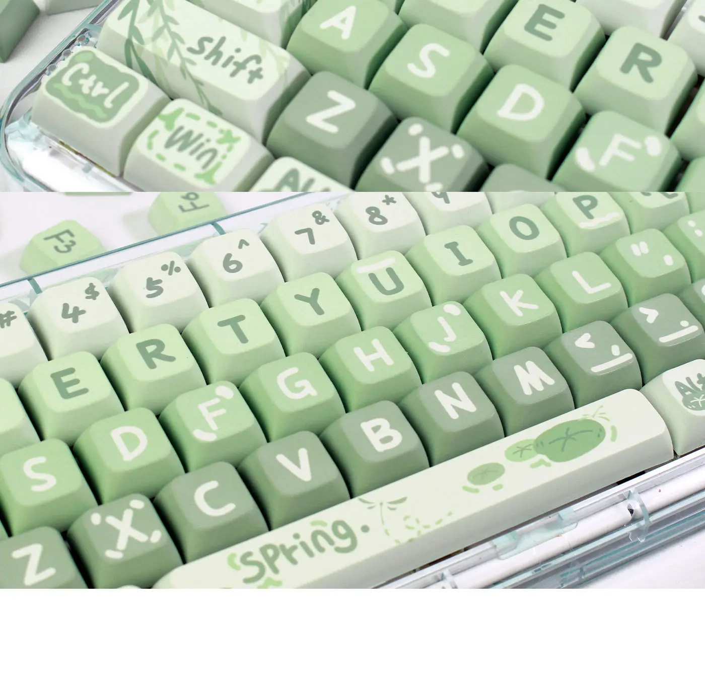 GMK+ Frog XDA Custom Keycap Set