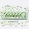 GMK+ Frog XDA Custom Keycap Set