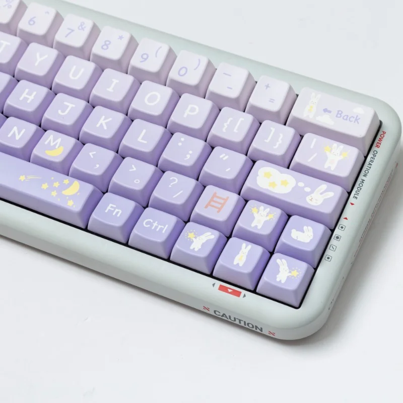 Teclas de conejo Starpicking, teclas PBT de doble disparo, perfil de cereza, para teclado mecánico MX Switch, bricolaje personalizado, 173 teclas