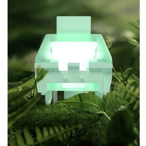 40605-eedea7.jpeg