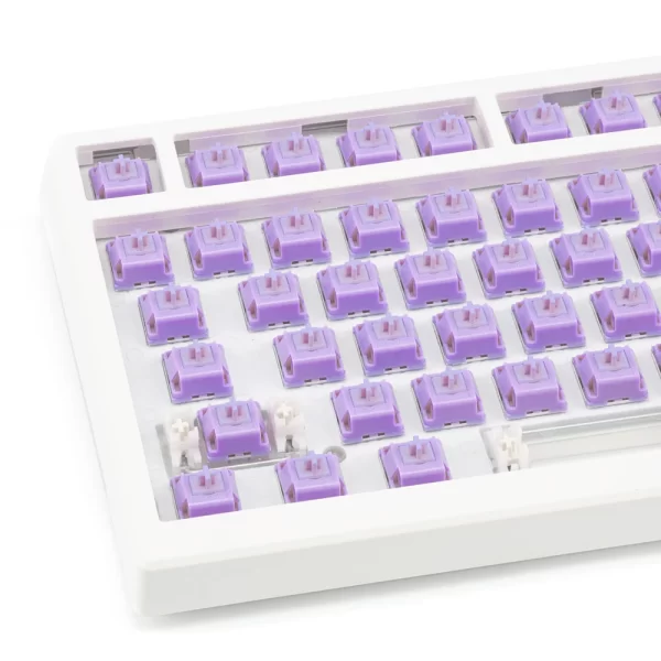 GMK+ Lavender Switches - Image 2