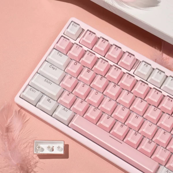 GMK+ Jelly Round OEM Custom Keycap Set - Image 2