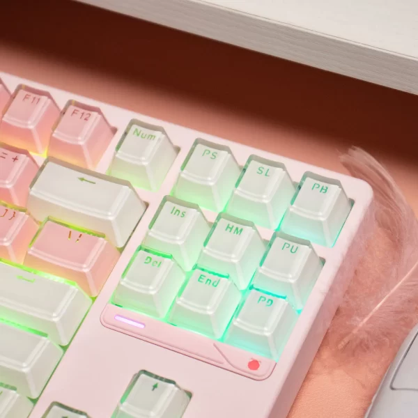 GMK+ Jelly Round OEM Custom Keycap Set - Image 4